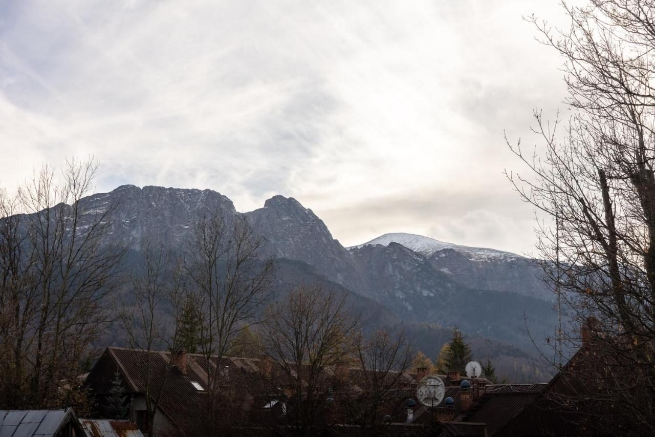 Villa Monte Zakopane Eksteriør billede