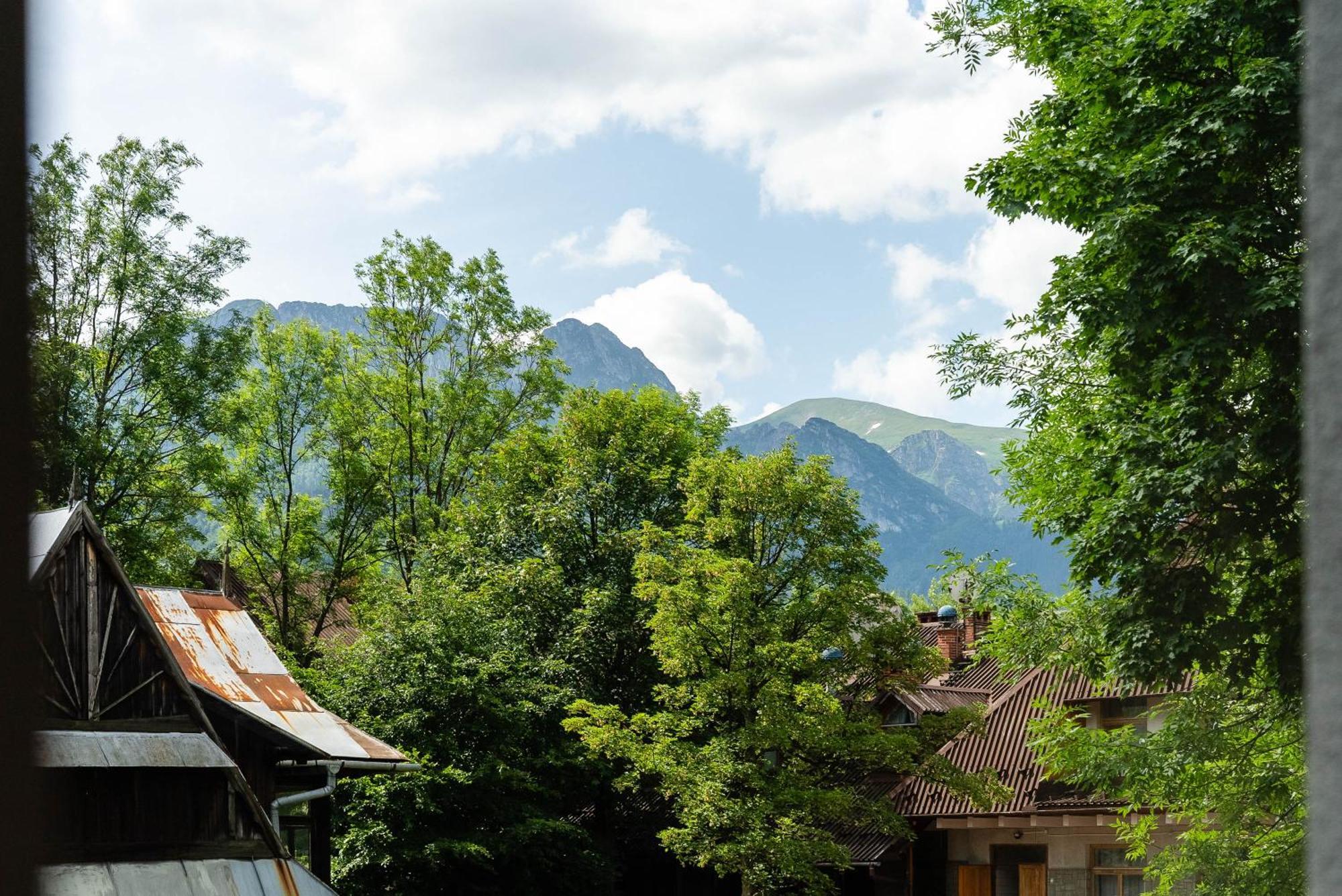 Villa Monte Zakopane Eksteriør billede